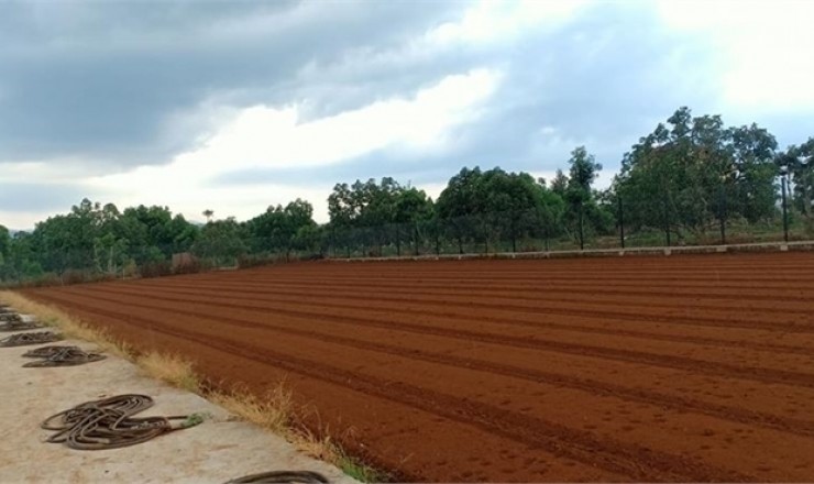 Bán 50ha đất kho nhà xưởng 50 năm tại Huyện Triệu Sơn, Tỉnh Thanh Hóa